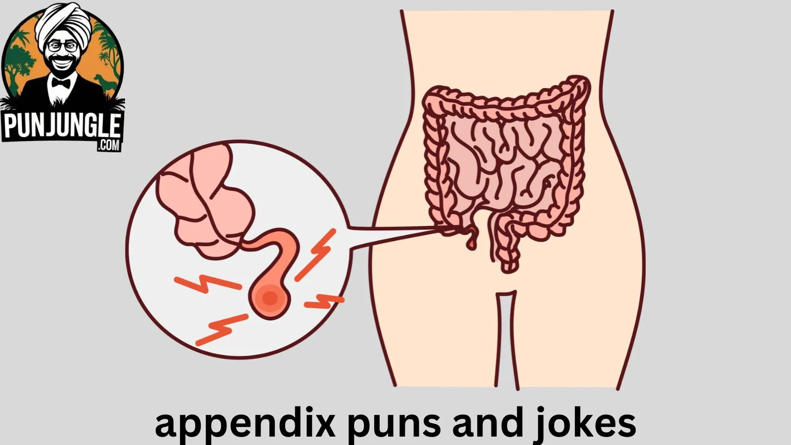 Appendix Puns and Jokes