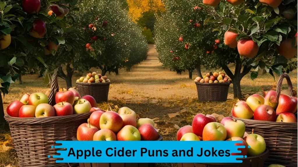 Apple Cider Punny Questions
