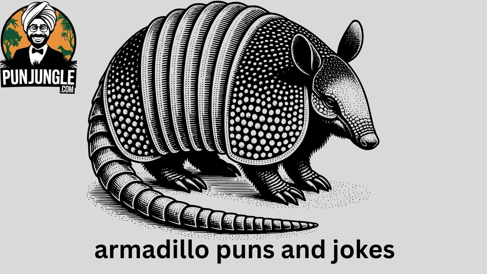 Armadillo Puns and Jokes