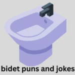 Bidet Puns and Jokes