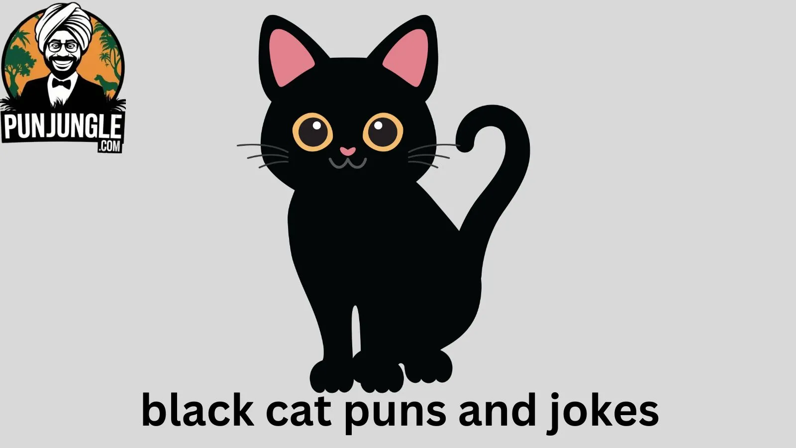 Black Cat Puns and Jokes