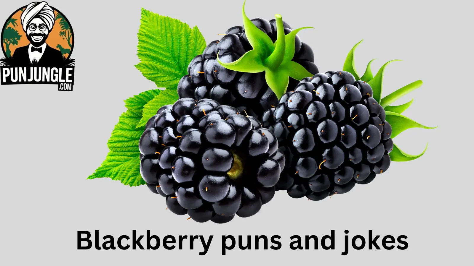 Blackberry puns and jokes