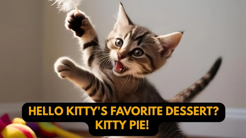 Cute and Funny