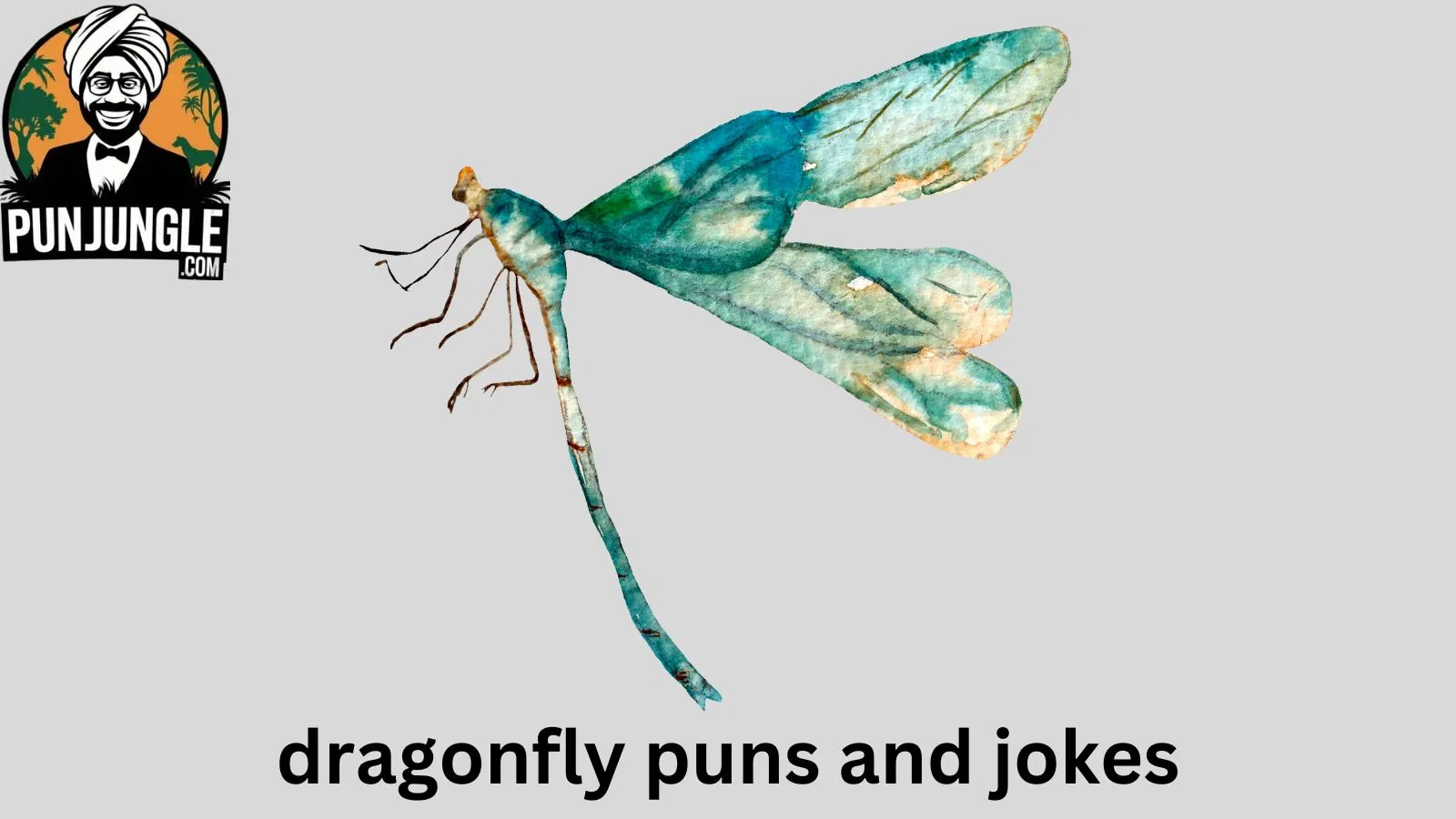 Dragonfly puns and jokes