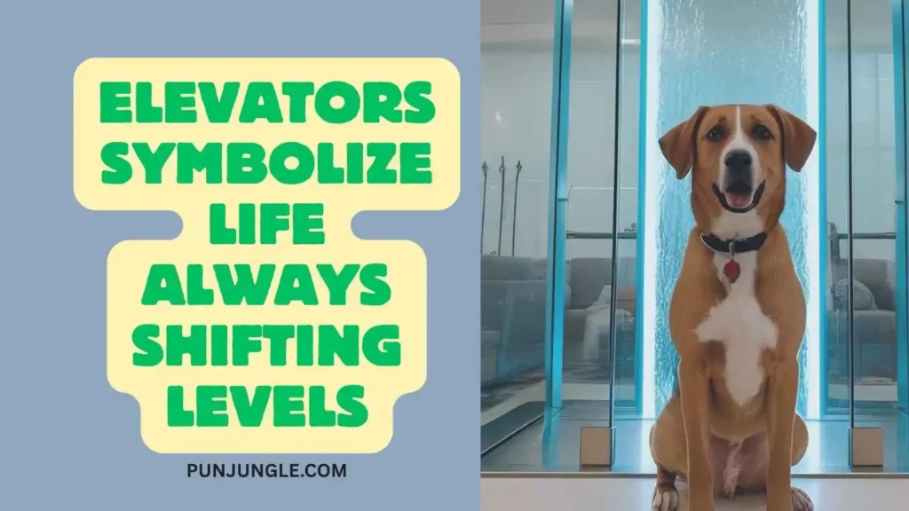 Elevator Jokes Meaning