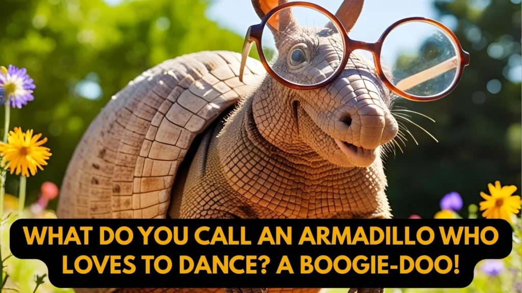 Funny Armadillo Puns