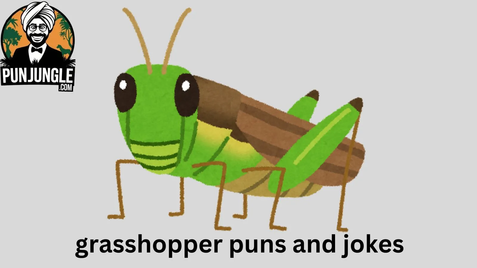 Grasshopper Puns and Jokes
