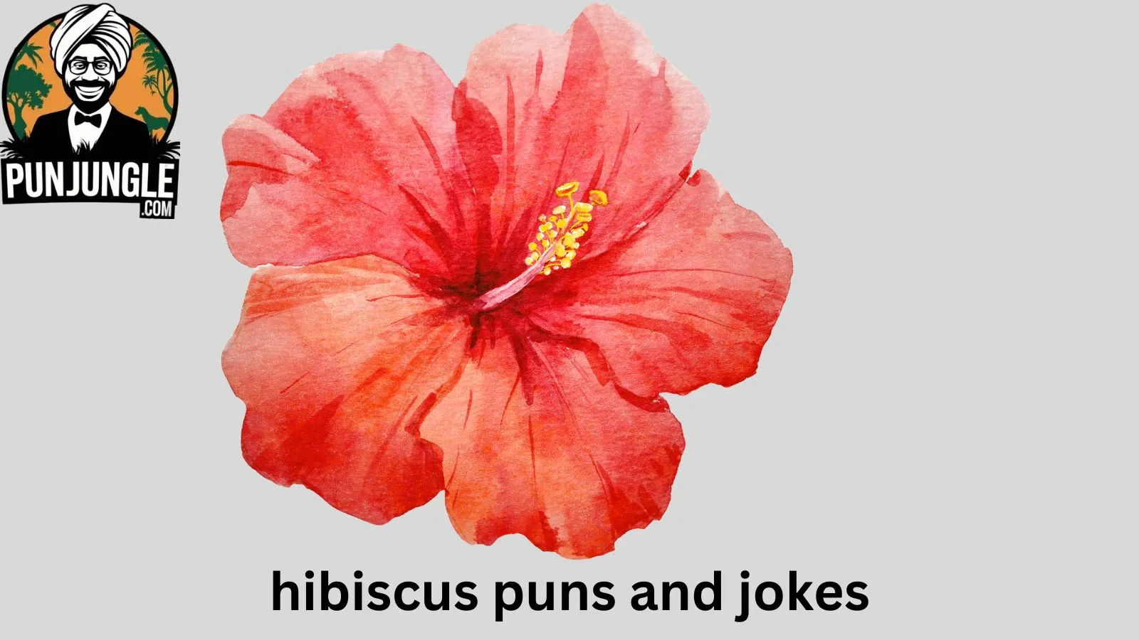 Hibiscus Puns and Jokes