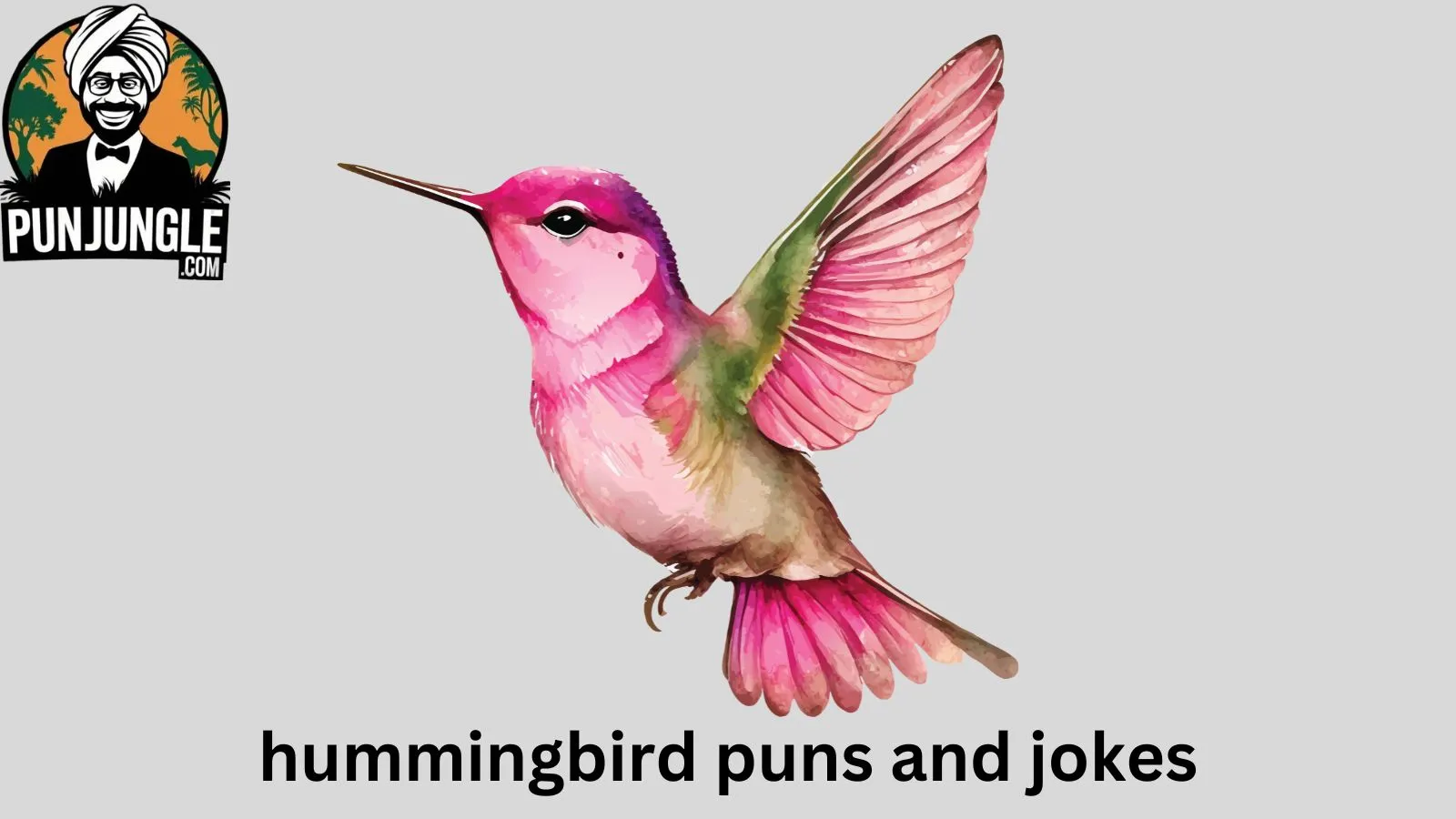 Hummingbird Puns and Jokes
