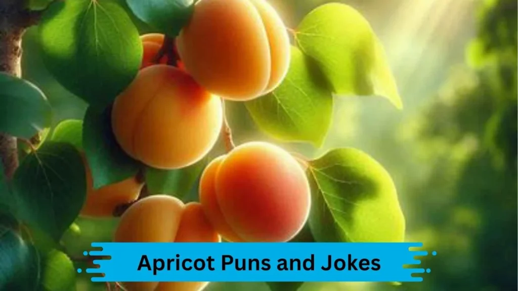 Juicy Apricot Jokes