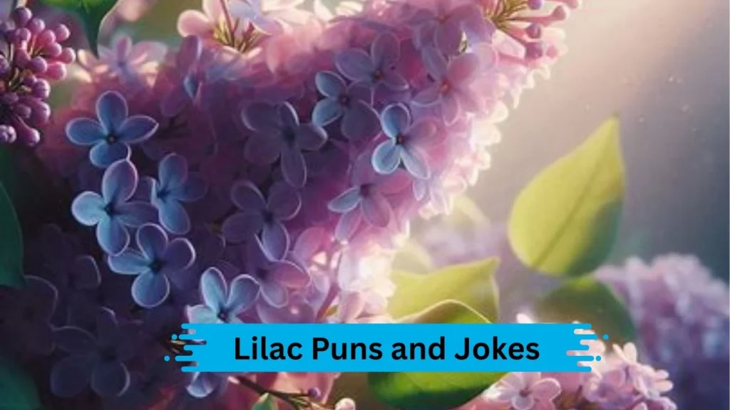 Lilac Color Puns