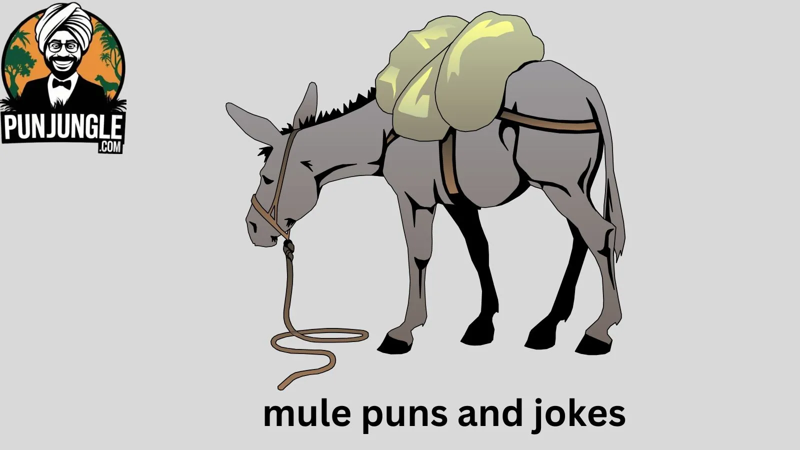 Mule Puns and Jokes
