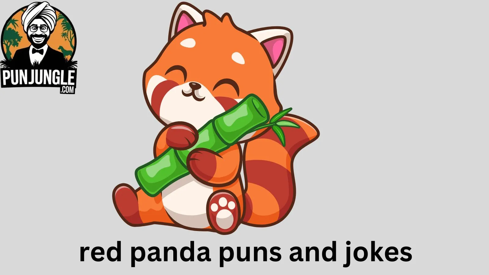 Red Panda Puns and Jokes