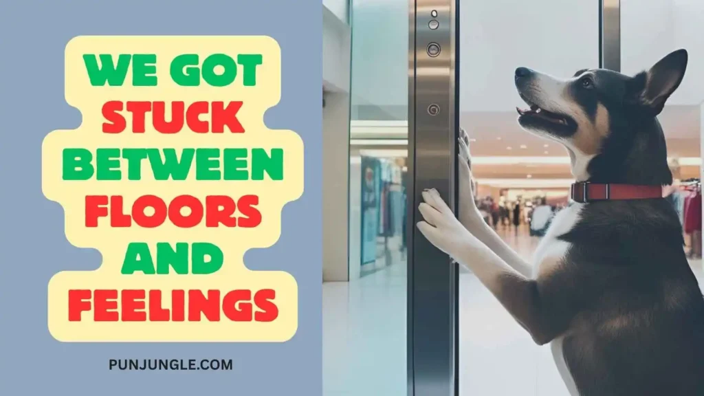 Short Dirty Elevator Jokes