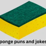 Sponge puns and jokes