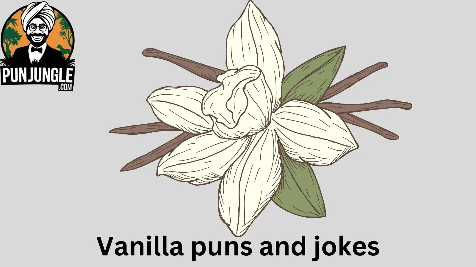 Vanilla puns and jokes