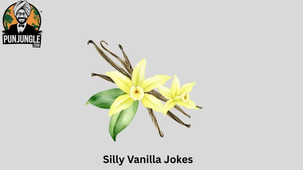 Silly Vanilla Jokes