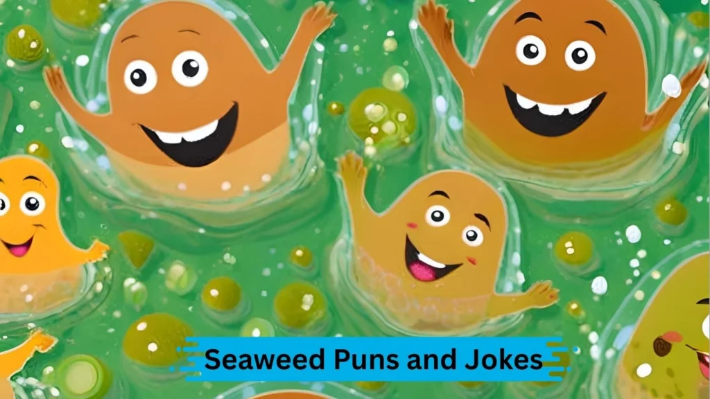 Funny Seaweed Jokes