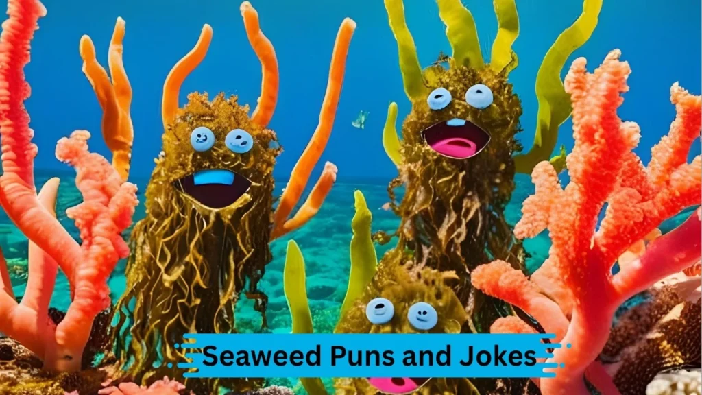 Ocean Lovers