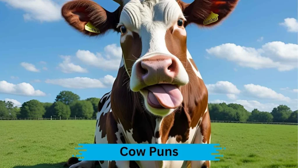 Cow Pun