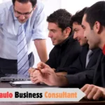Pedrovazpaulo Business Consultant