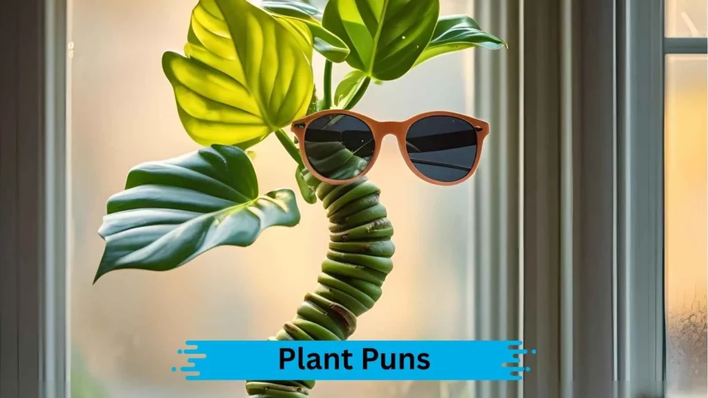 Plant Pun